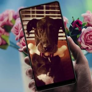 Meet your Posher, Isabel